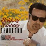 دانلود آهنگ شاهرخ بخوای نخوای