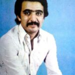 دانلود آهنگ فریدون فروغی غم تنهایی