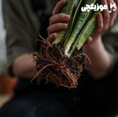 هوش مصنوعی دیگه مهم نیست کی میمونه کی میره امیر تتلو