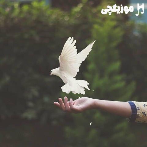   با اینکه هرچی داشتمو دادی به بادش