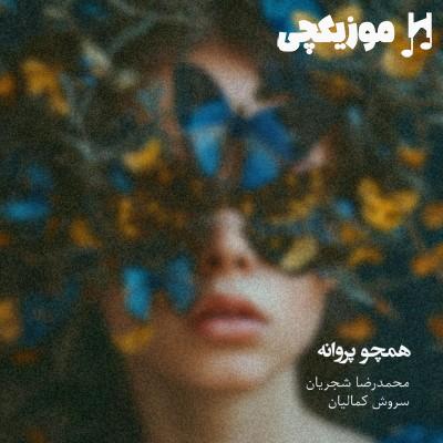 سروش کمالیان و‌ محمدرضا شجریان همچو پروانه