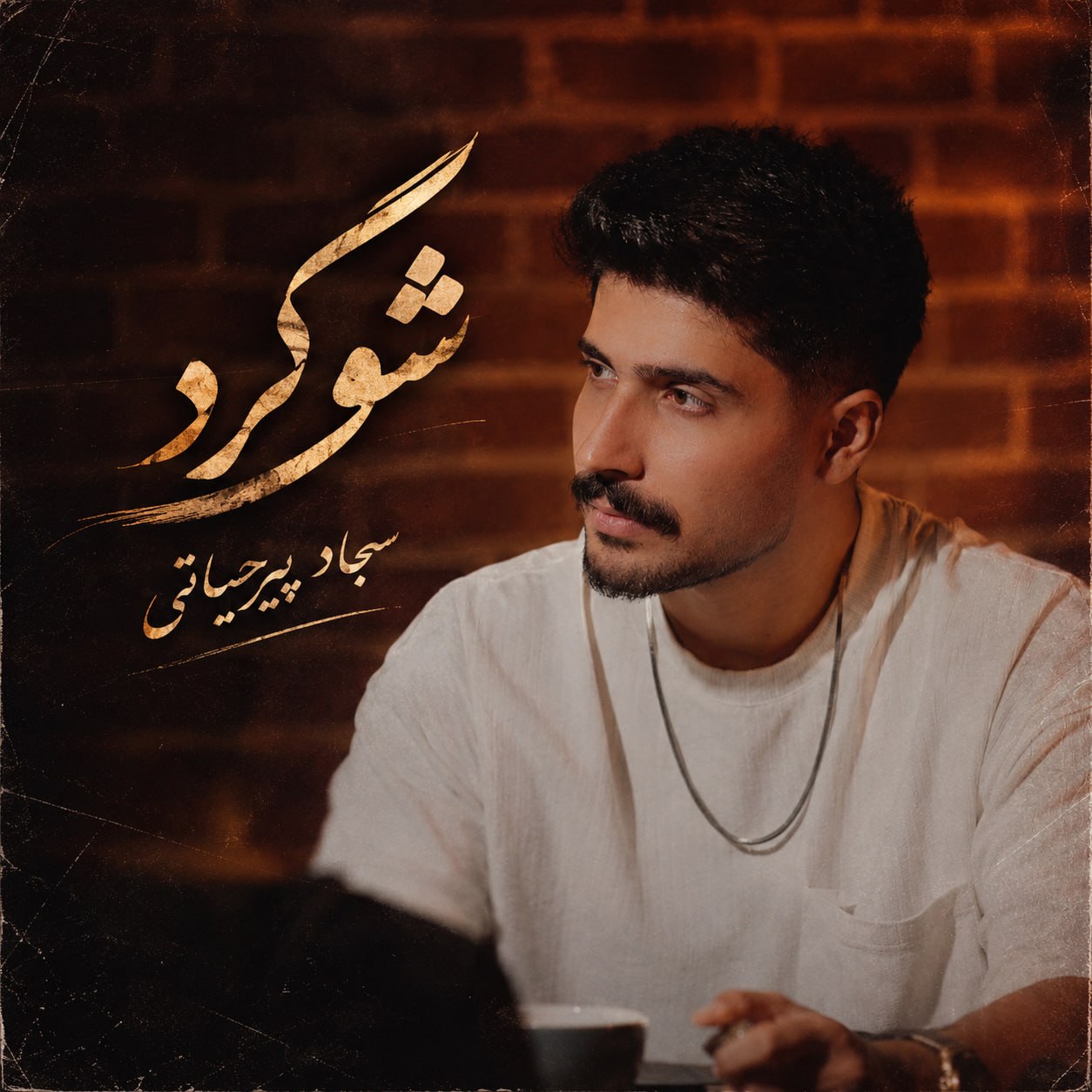 سجاد پیرحیاتی شوگرد سجاد پیرحیاتی شوگرد