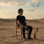دانلود آهنگ میگذرم تنها از آیدین حیدری آهنگ عاشقانه و احساسی