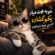 دانلود آهنگ خوبه بهت میاد یکم گشاده این چی خوبه داره افاده ورژن ترند اینستاگرام