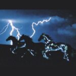 دانلود آهنگ نبودی ببینی من چه بی تو هیچم از هوش مصنوعی آهنگ عاشقانه و احساسی