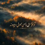 دانلود آهنگ تو نخواستی با من بمونی دیوونه با متن و کیفیت اصلی